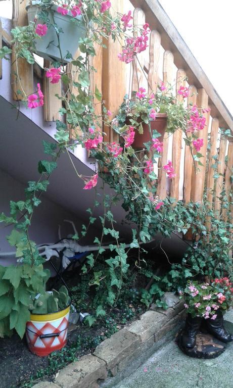 Apartment Centar Sarajevo Luaran gambar